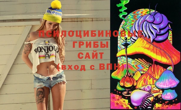 а пвп мука Аркадак