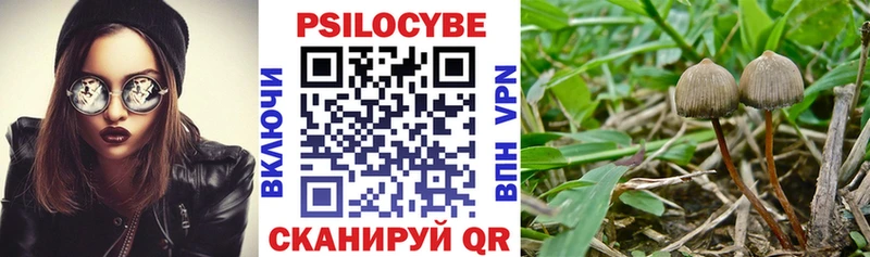 Галлюциногенные грибы ЛСД  блэк спрут зеркало  Полысаево  дарнет шоп 